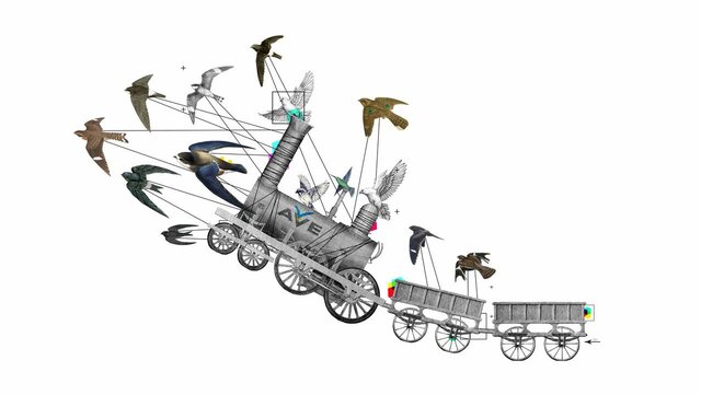 Primera fase de la globalización