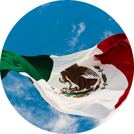 Reglamento para el Gobierno Interior y Exterior de las Secretarías de Estado y Despacho Universal.