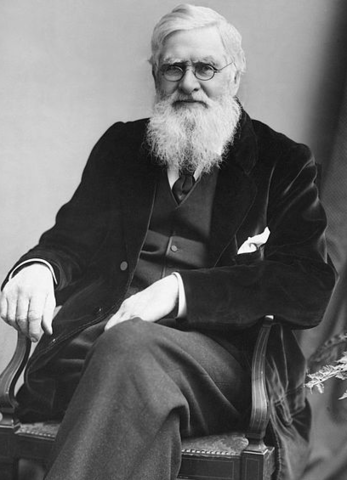 News from competitor Alfred Russel Wallace