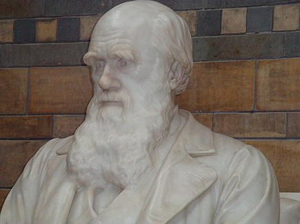 Darwin’s death & honors