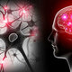 Imagen de neurociencia
