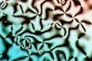 Liquid Crystals