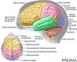 Perturbaciones del lenguaje.