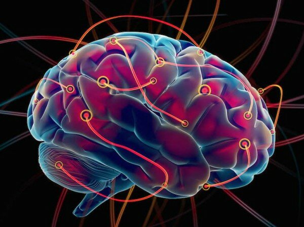 Experimento de estimulación eléctrica.