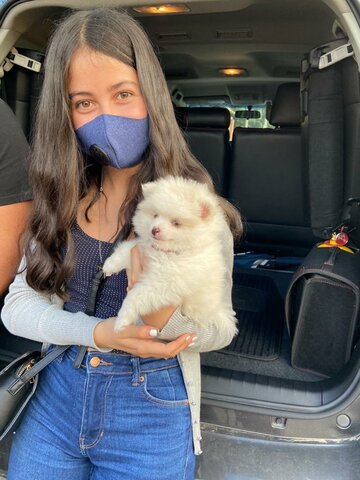 Ils m'ont donné mon premier chien