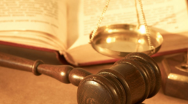 Timeline: Prueba pericial-Especialización en familia GRUPO F