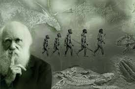 EVOLUCIONISMO ( CHARLES DARWIN )