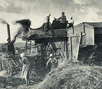 Se recupera la agricultura