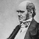 330px charles darwin seated crop