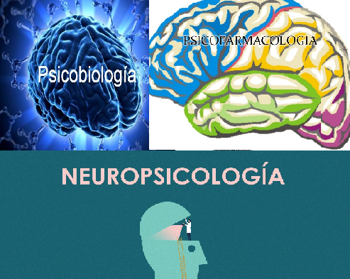 NUEVAS CIENCIAS SIGLO XX