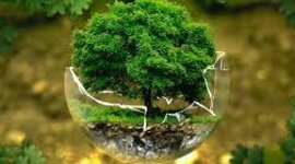 Timeline: EDUCACIÓN AMBIENTAL A NIVEL MUNDIAL