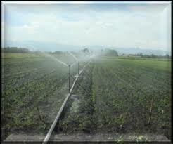 IV Censo Nacional Agropecuario 2003