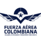 Fuerza aerea colombiana 2