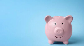 Timeline: HUCHA DE CERDO:)