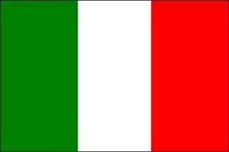 First COVID-19 case in Italy