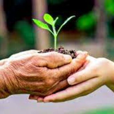 Timeline: HISTORIA DE LA EDUCACIÓN AMBIENTAL