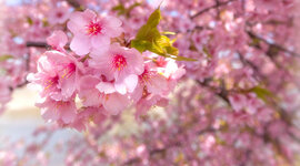 Timeline: Моя жизнь