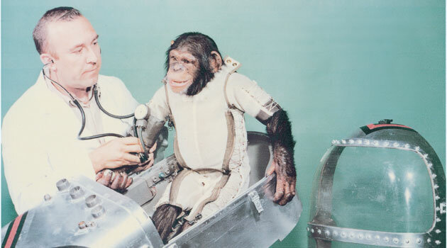 Space monkey