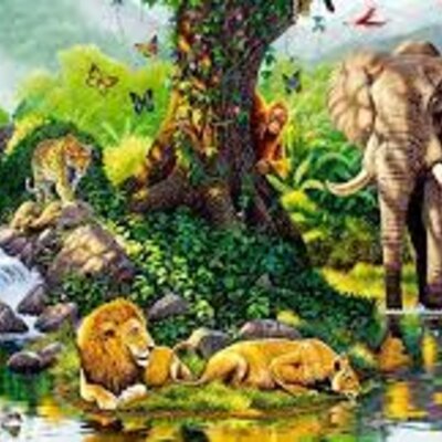 Timeline: Teorías de la creación y evolución de la vida