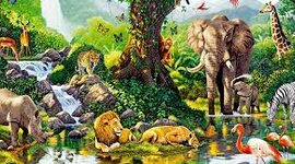 Timeline: Teorías de la creación y evolución de la vida