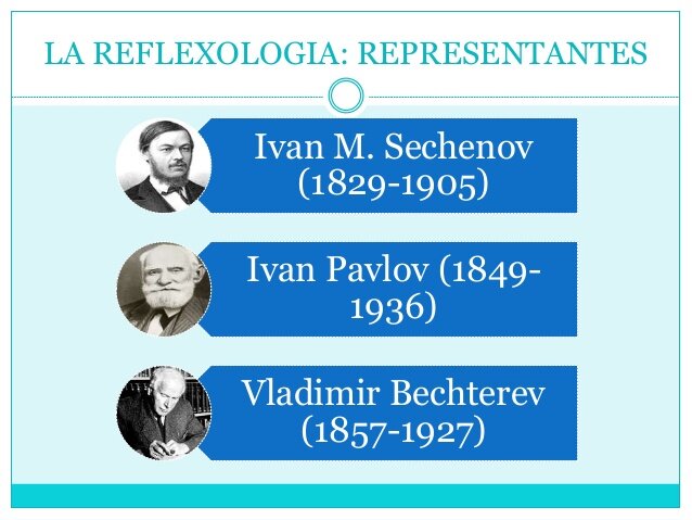 Reflexología Inglaterra primera mitad del siglo XX.