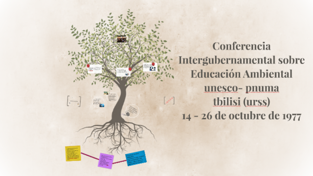Declaración de la Conferencia Intergubernamental de Tbilisi sobre educación ambiental.