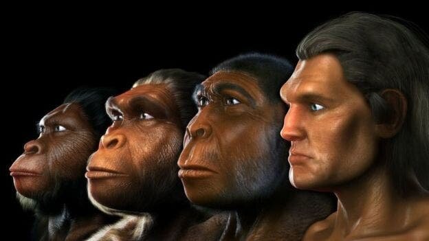 Teoría de evolución del hombre (Homo sapiens)