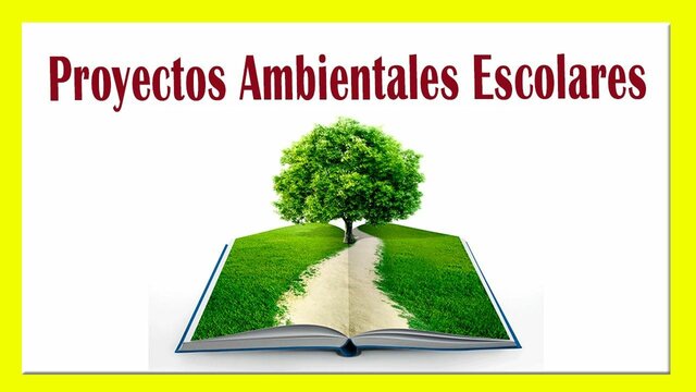 Ley 115 General de Educación