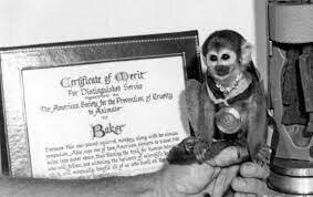 Space Monkey