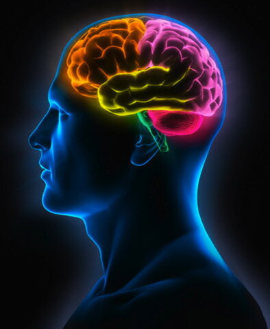 PSICOFISIOLOGÍA