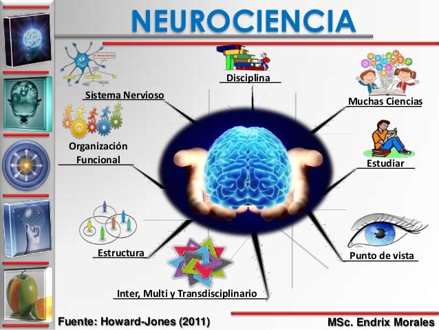 Las últimas décadas