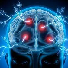 NEUROCIENCIA