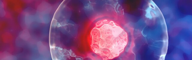 2500-570 millones de años