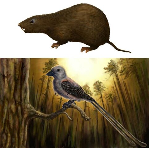 208 millones de años