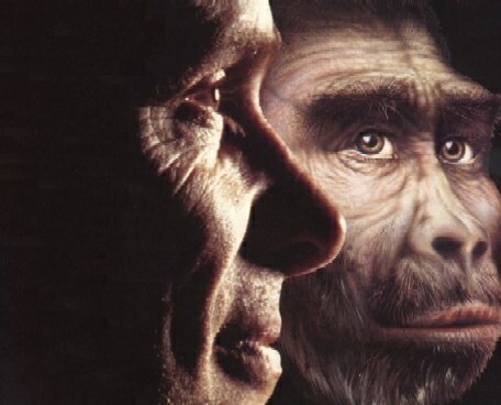 Cenozoico: 65 millones de años- presente