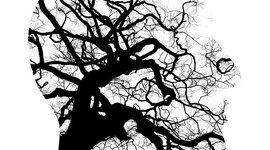 Timeline: HISTORIA DE LA PSICOLOGIA