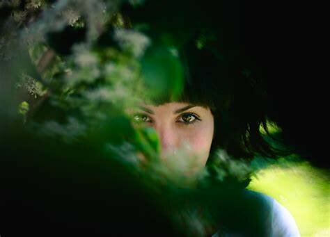 Modelo de Oportunidad