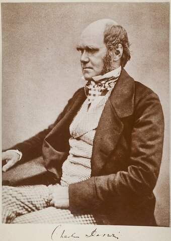Publishes 'The Descent of Man, and Selection in relation to Sex.'