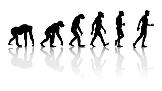Published 'On the Origin of Species by means of Natural Selection, or the Preservation of Favoured Races in the Struggle for Life'