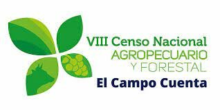 Se llevan a cabo el VI Censo de Población