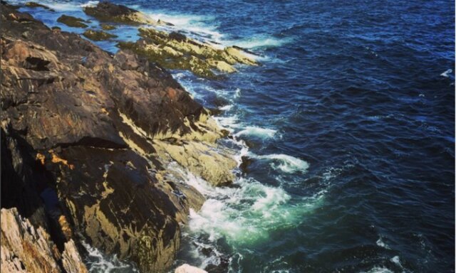 Social Event with Bowdoin Earth Science and Education Club