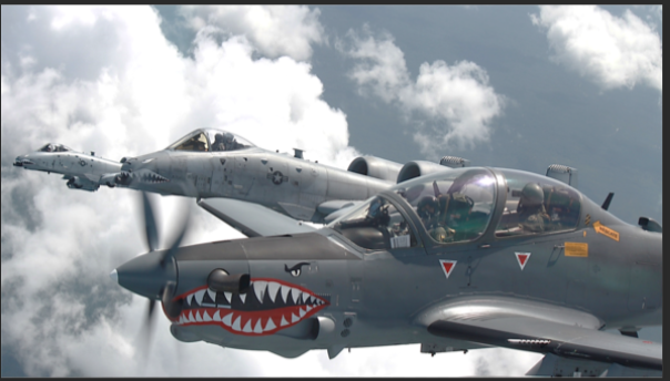 terminar mi carrera militar