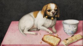 Timeline: The 17th century