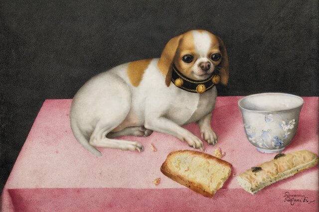 Lapdog with biscotti and a chinese cup
