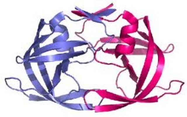 HIV protease inhibitors
