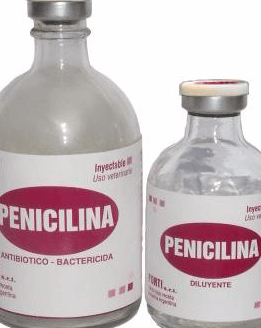 Penicilina