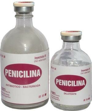 Penicilina