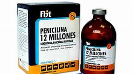 Timeline: Penicilina