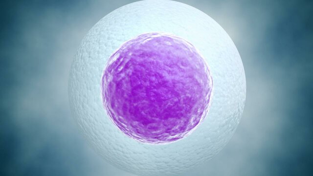 descubrimiento de la celula