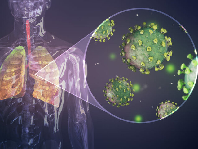 descubrimiendo de la covid 19